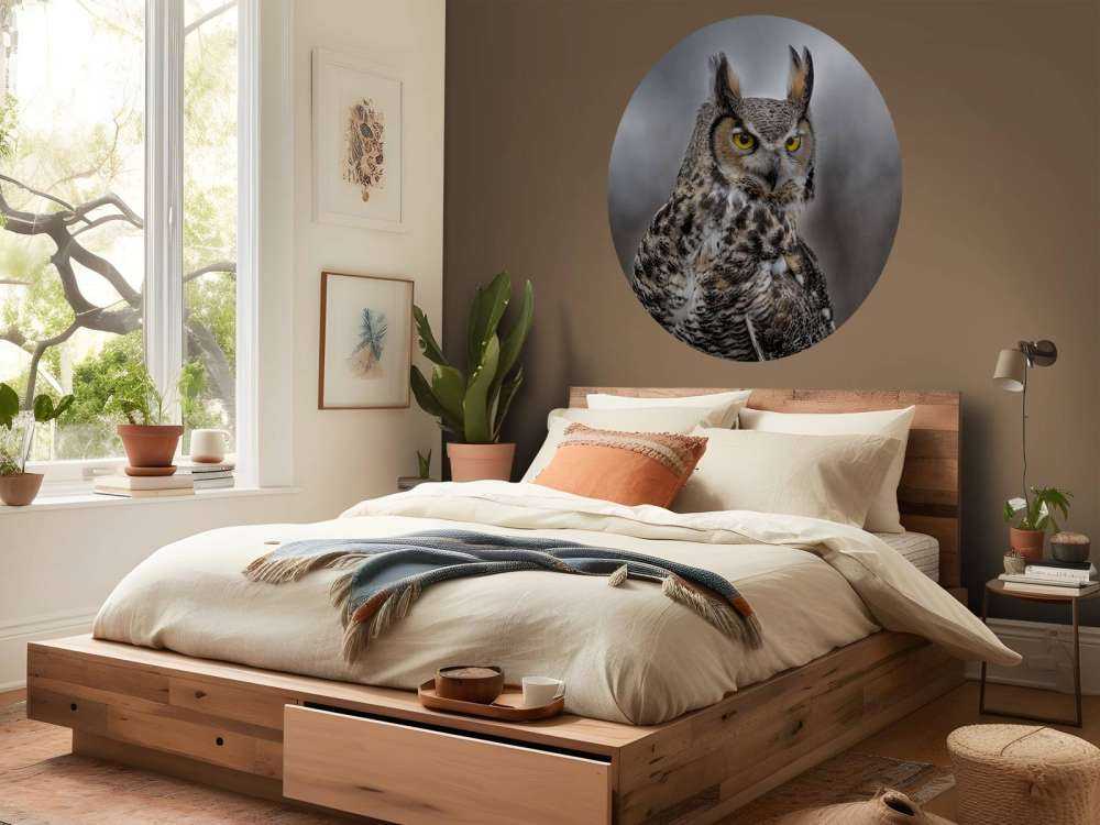 Chouette à plumes brunes