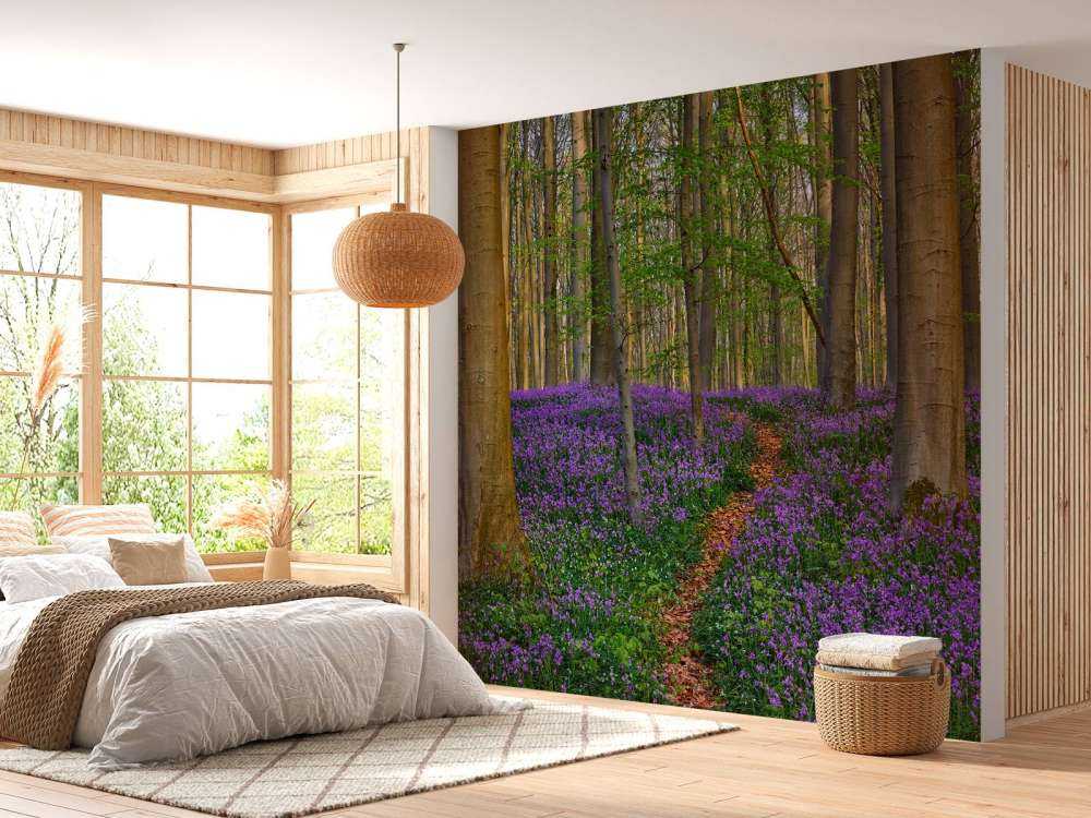 Joli chemin à travers la forêt