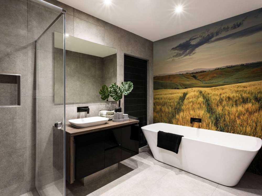 Champ de céréales avec traces