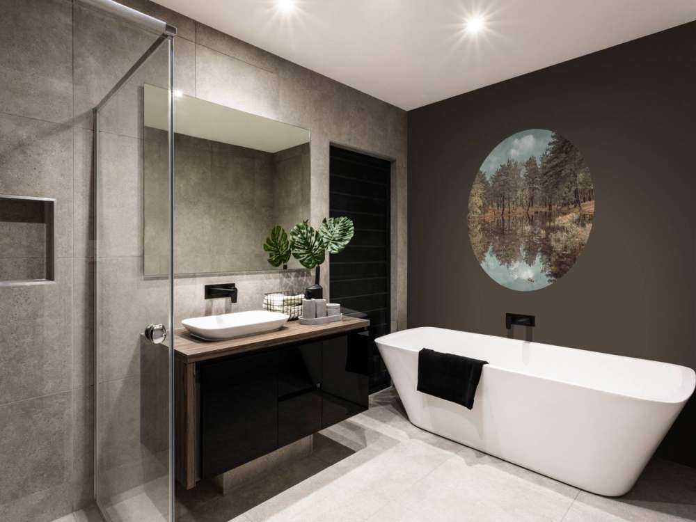 Arbres près d'un lac