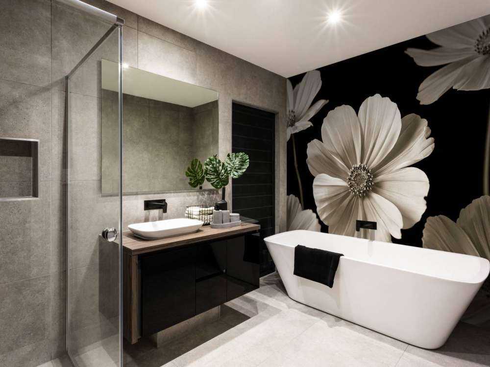 Plusieurs fleurs de cosmos