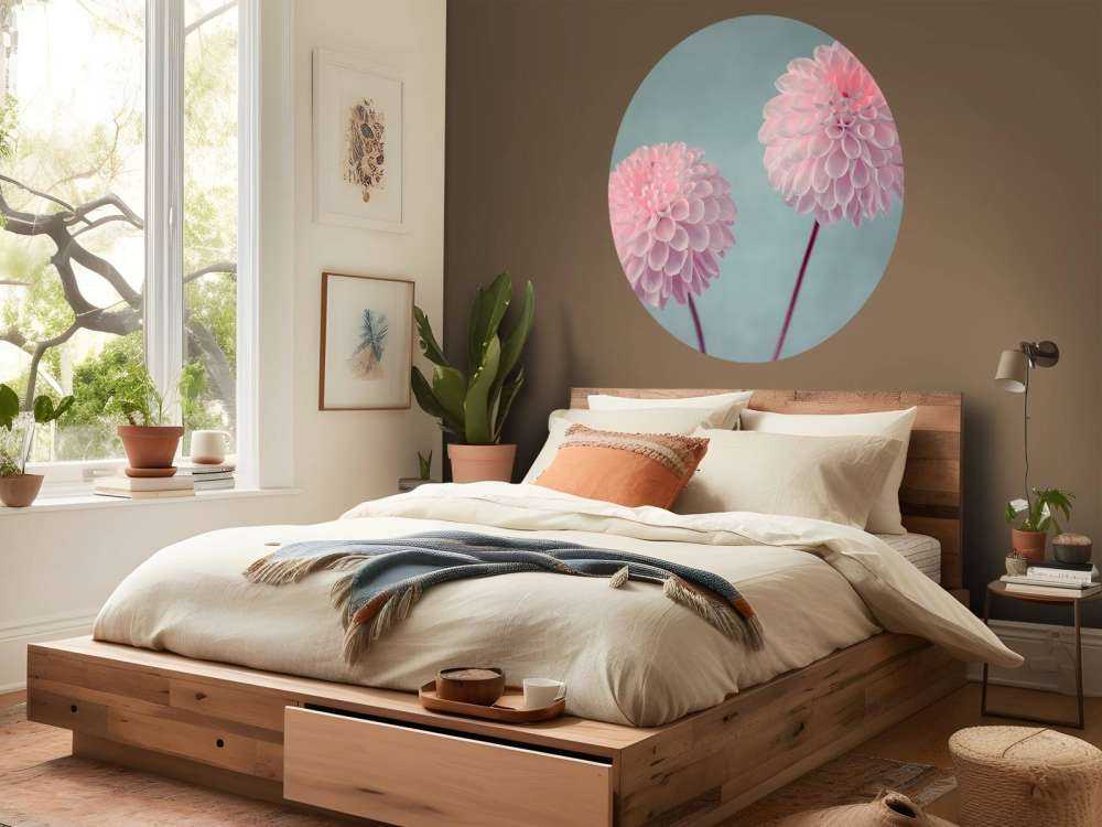 Deux fleurs de Dahlia