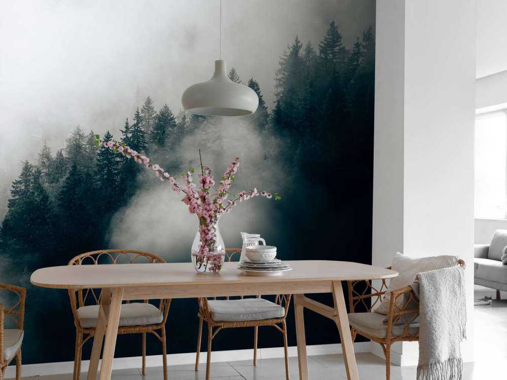 Réveil alpin brumeux