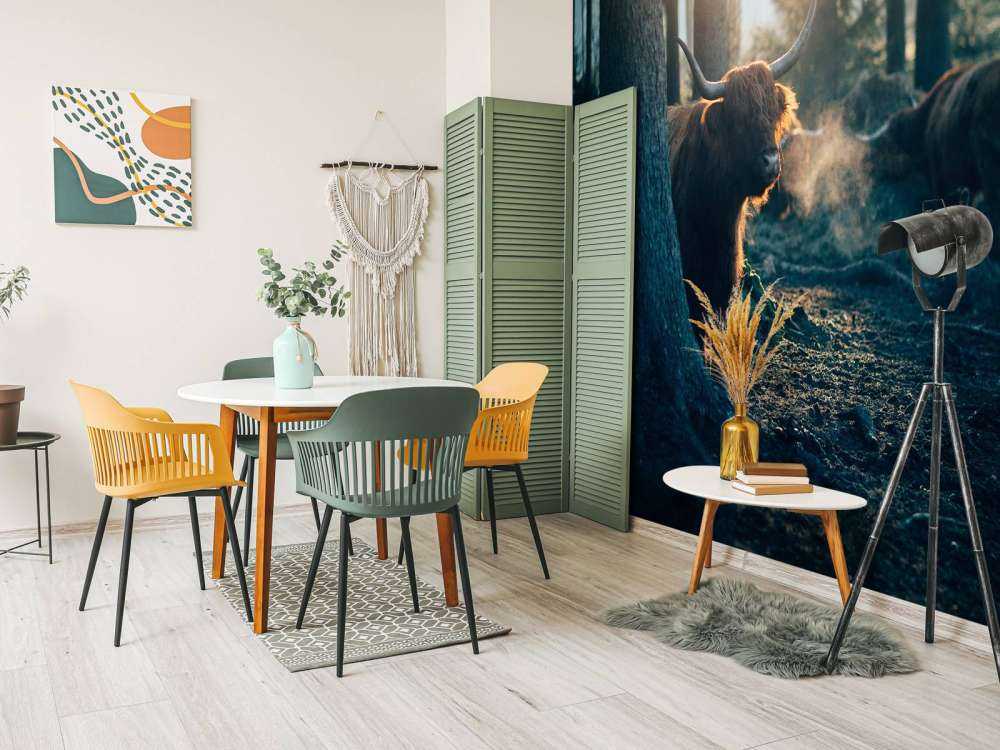 Le Highlander écossais au lever du soleil