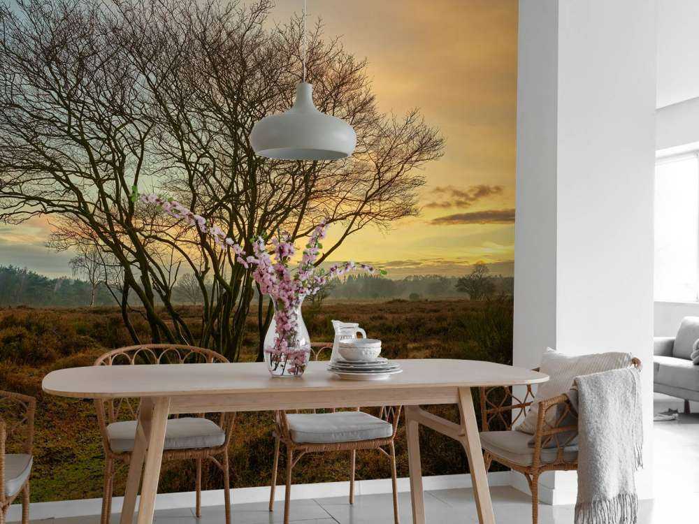 Lever de soleil sur la lande