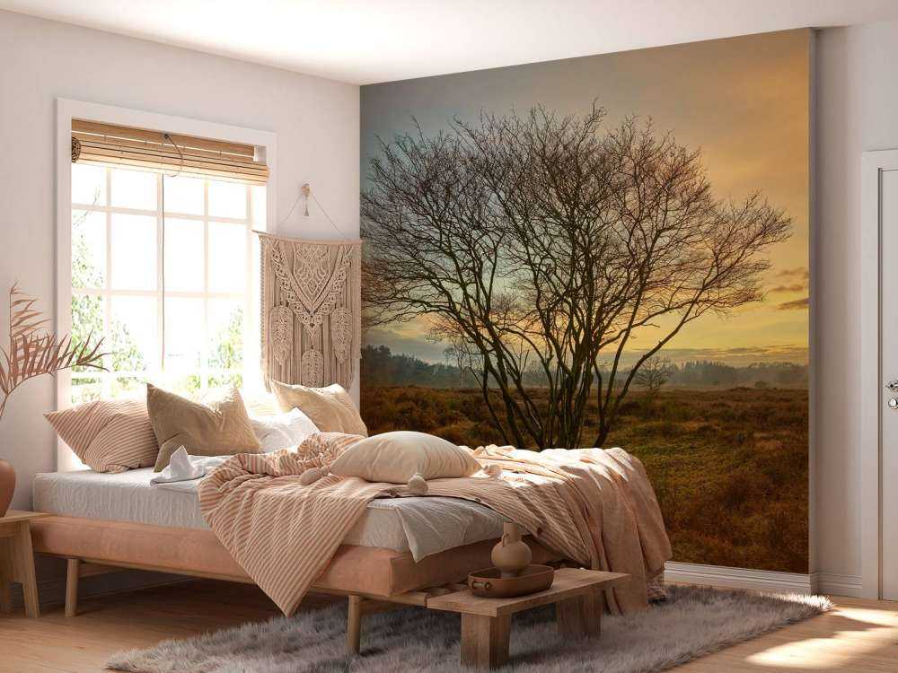 Lever de soleil sur la lande