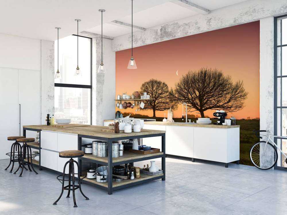 La lune entre les arbres