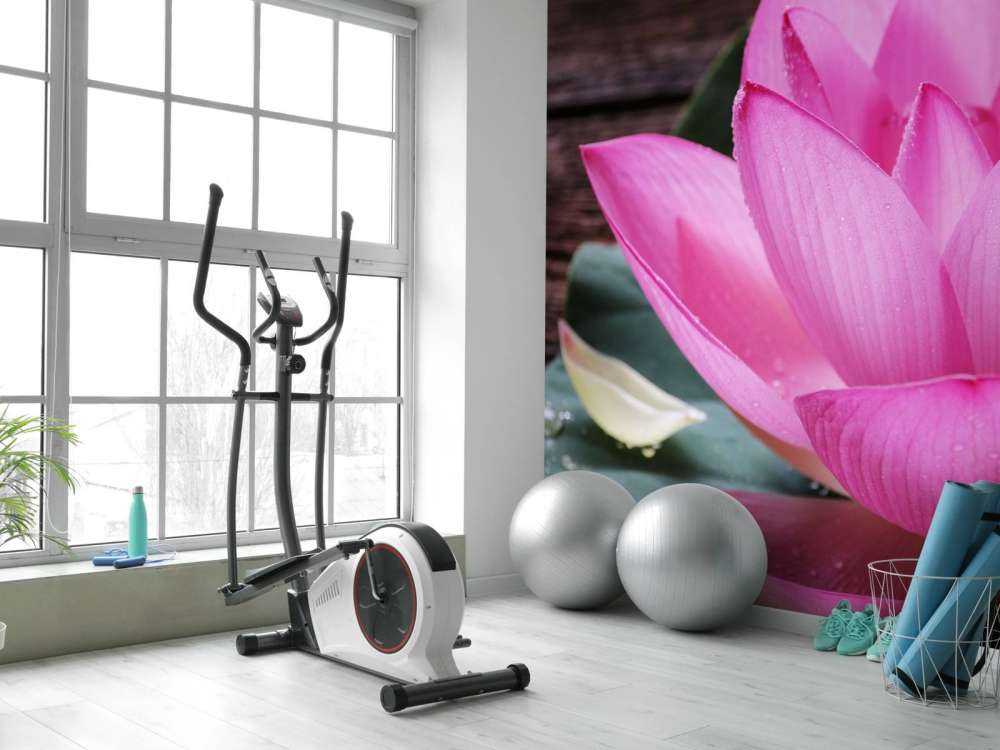 Gros plan sur le lotus rose