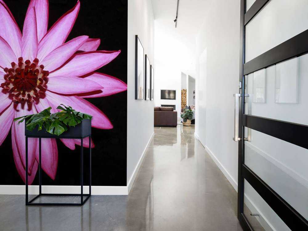 Fleur de lotus vue d'en haut