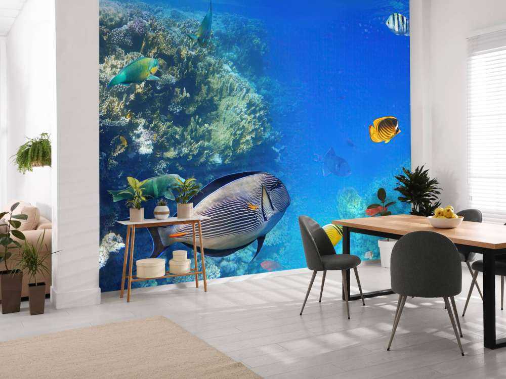 Récif de corail