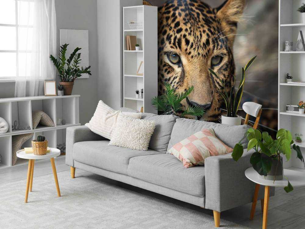 Gros plan d'une tête de léopard