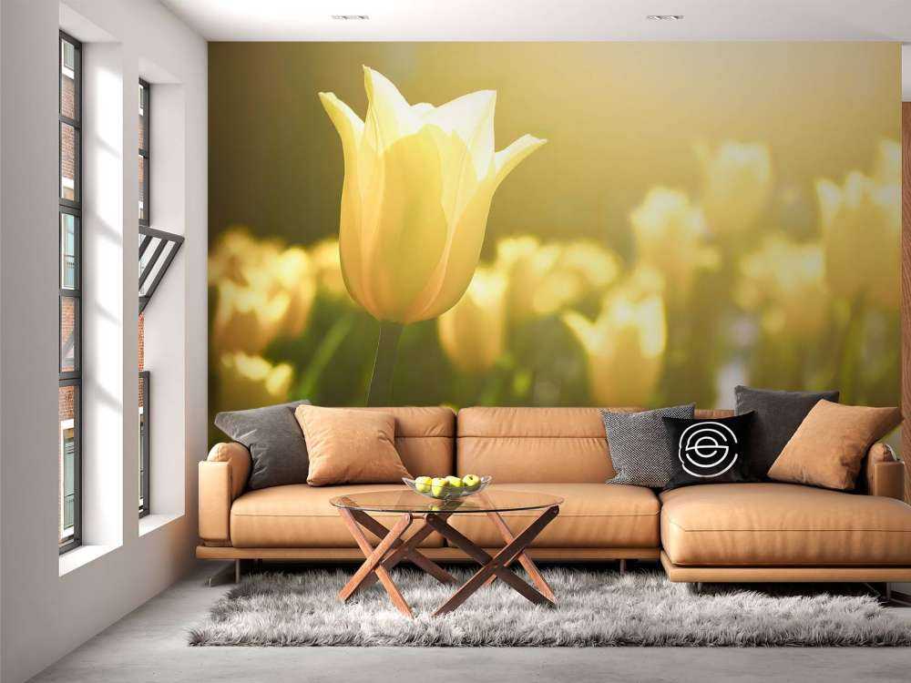 Gros plan sur la tulipe jaune