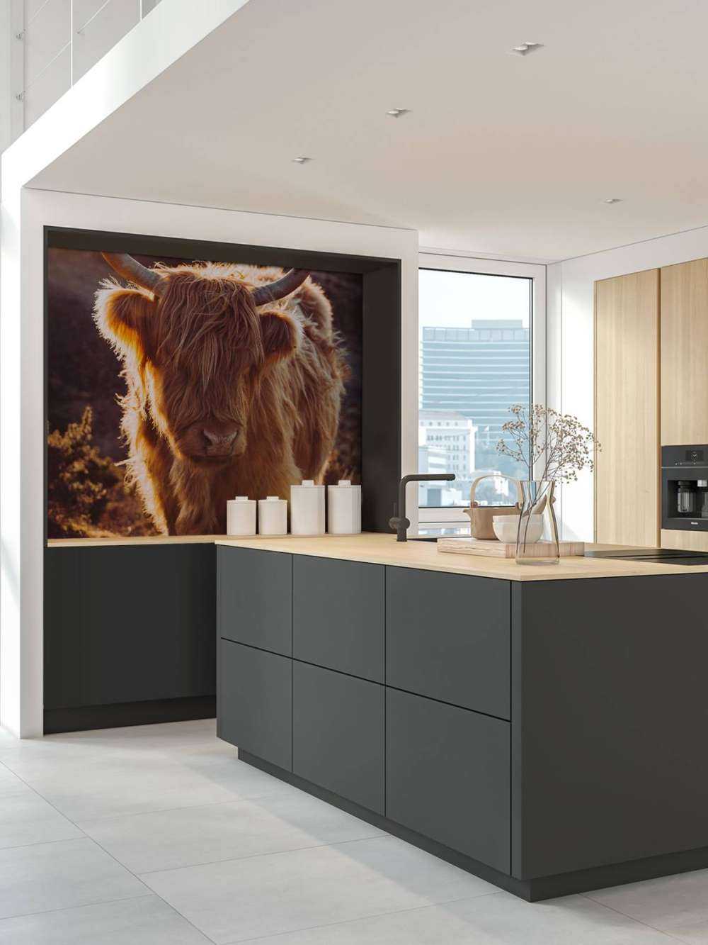 Le Highland écossais au soleil