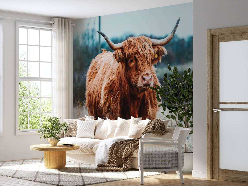 Un Highland écossais dans la forêt