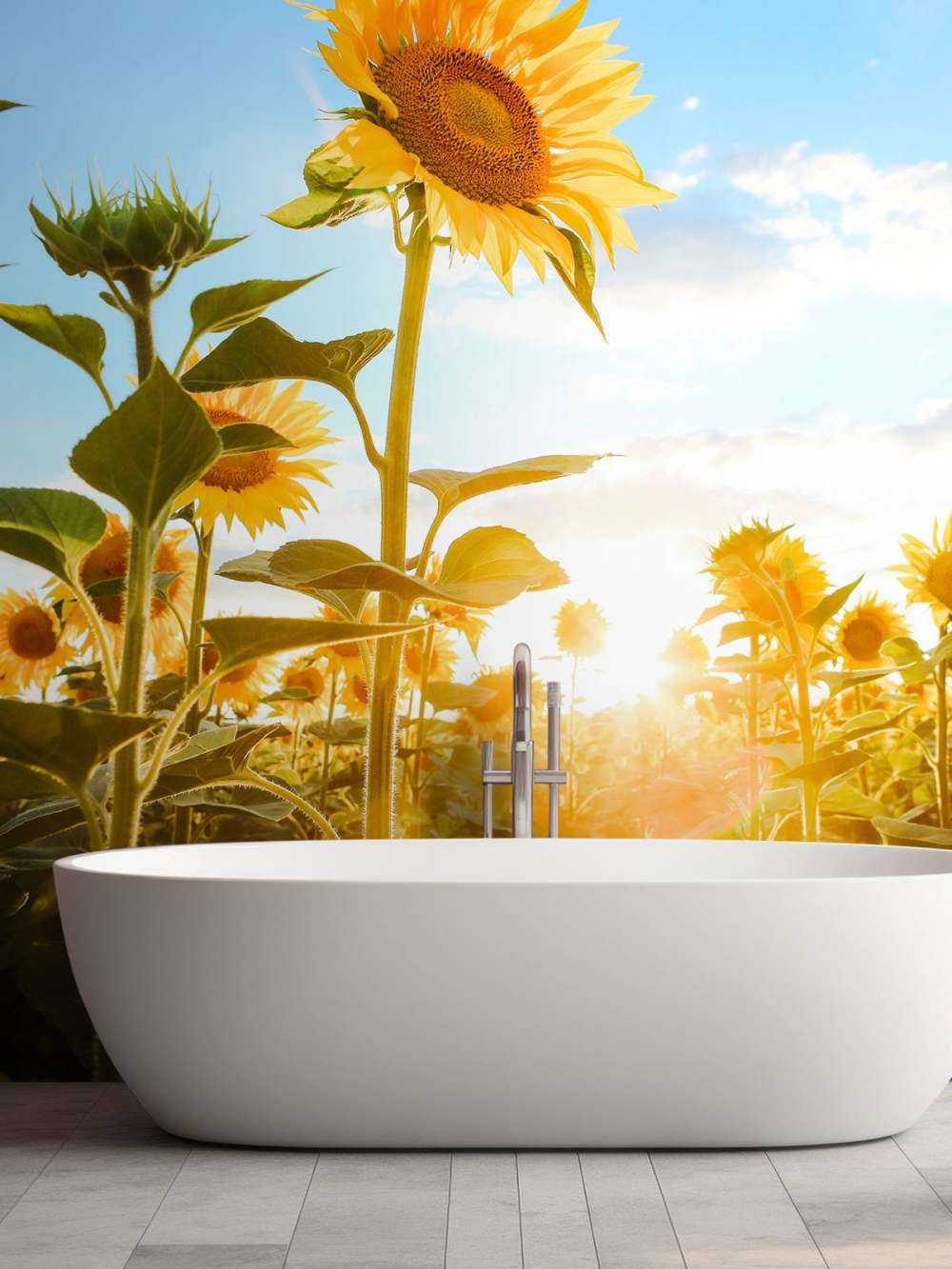 Tournesol avec ciel bleu