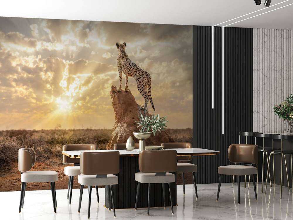 Sundown Cheetah