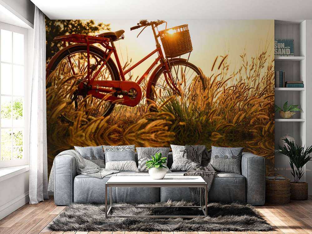 Vélo coucher du soleil