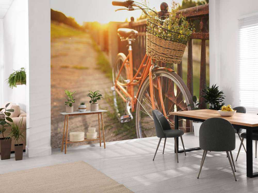 Vélo rouge avec panier