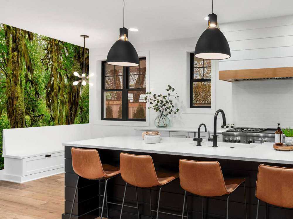 Ancienne forêt sauvage