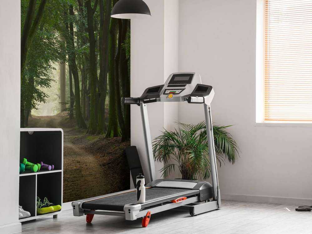 Sentier de sable dans la forêt