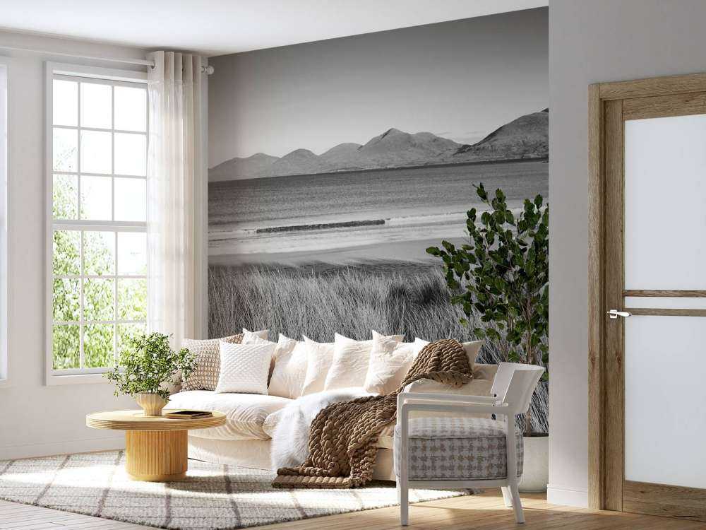 L'herbe de dunes, plage en montagne