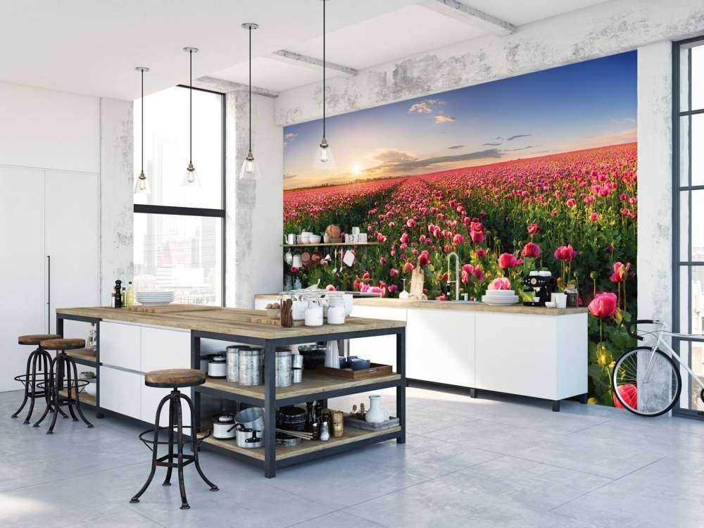 Champ de coquelicots roses