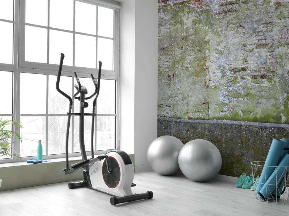 Mousse sur un vieux mur