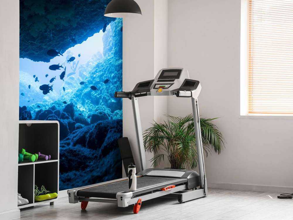 Grotte étroite avec des poissons