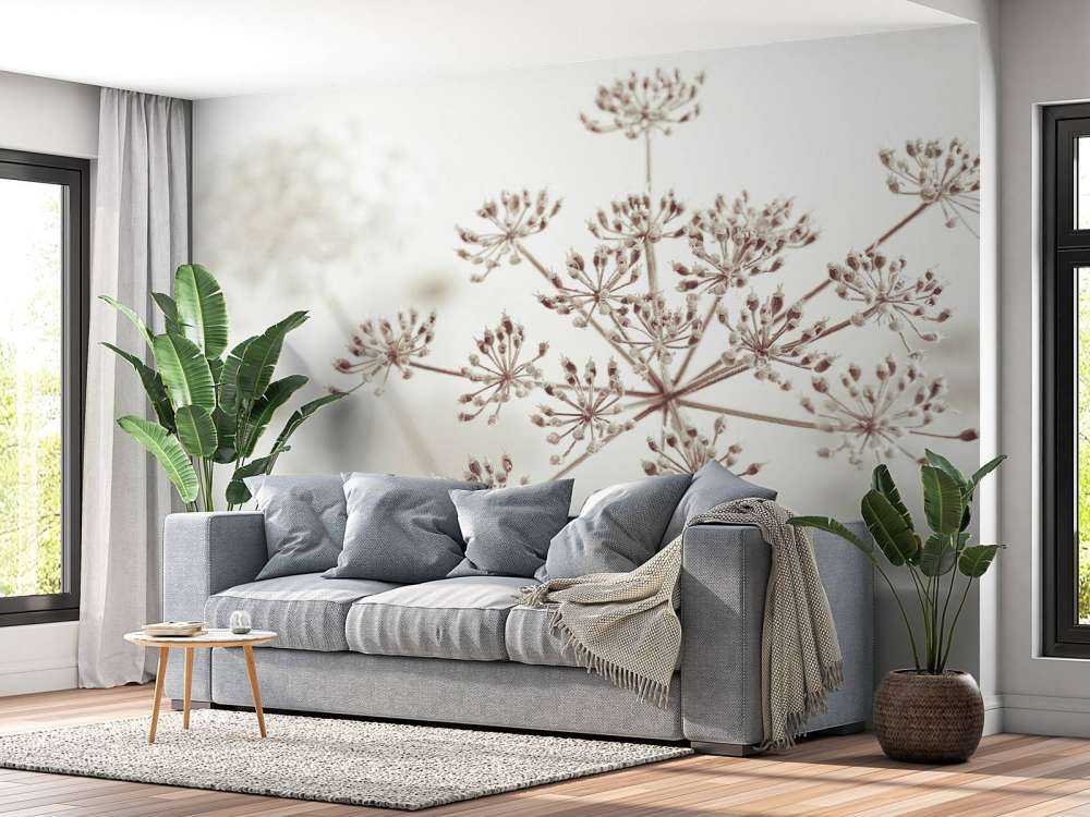 Cerfeuil sauvage en gros plan