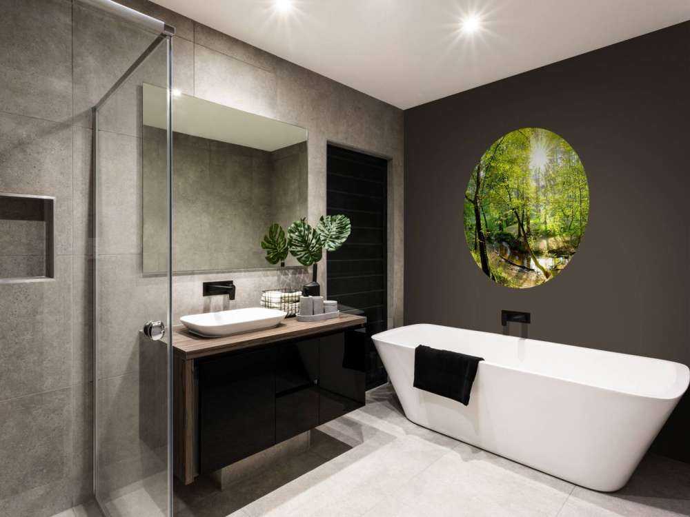 Forêt avec un ruisseau