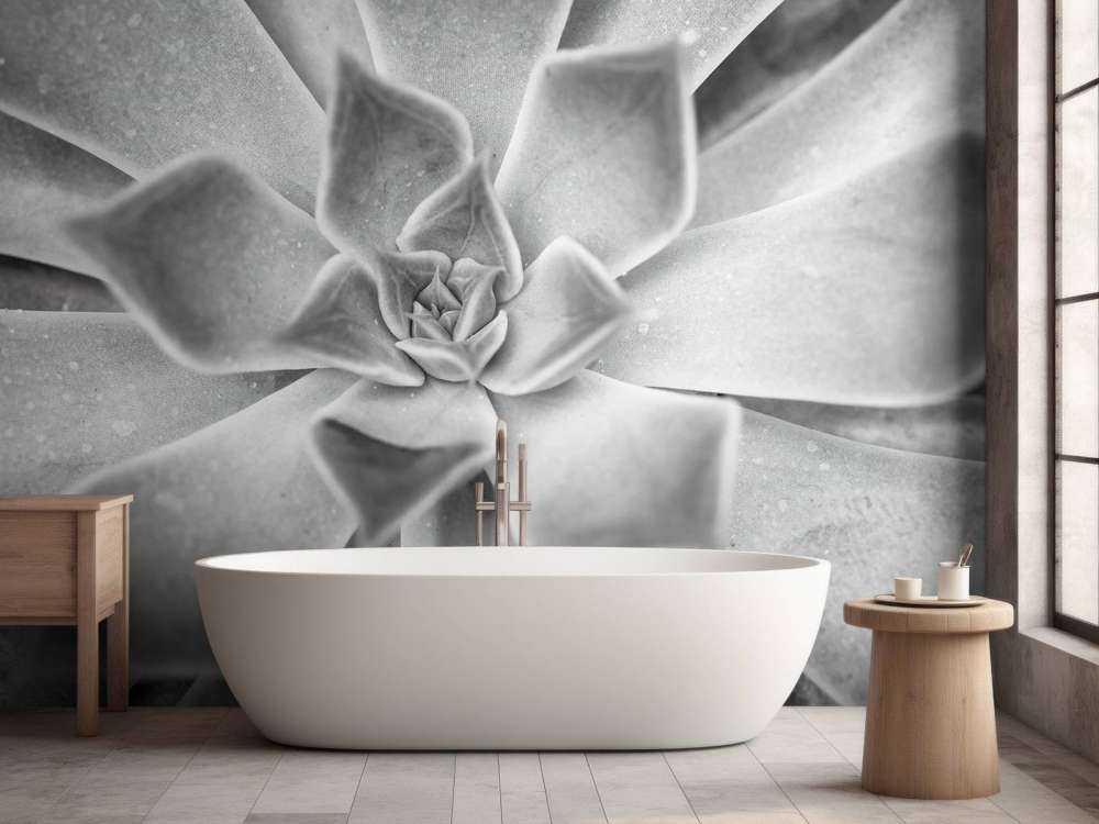 Succulent en noir et blanc