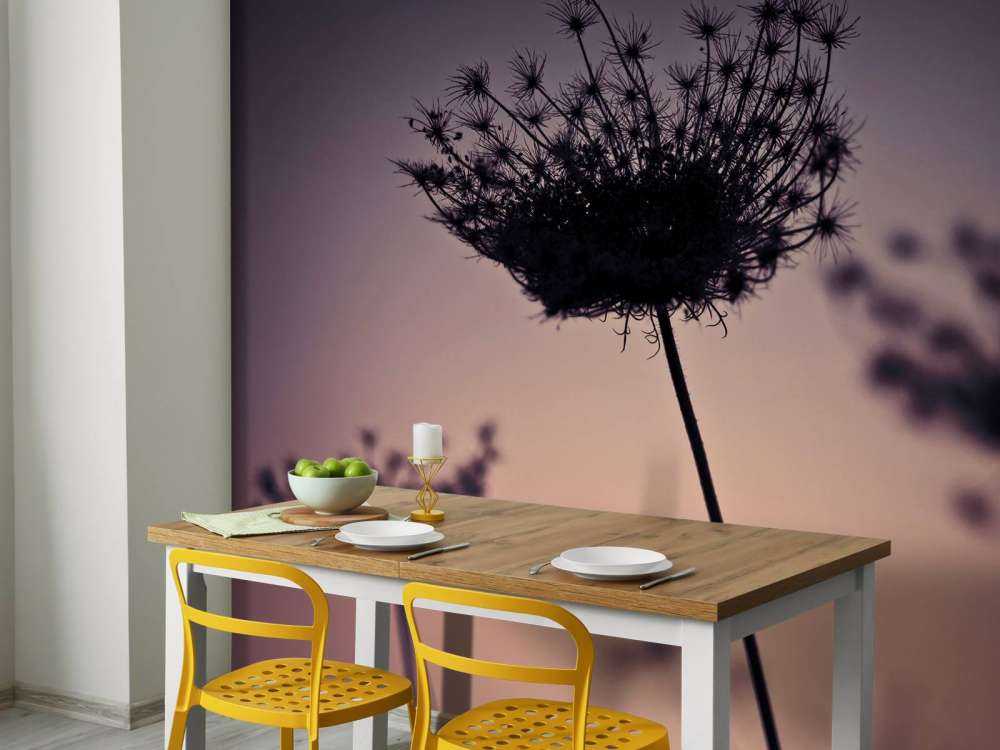 Silhouette de fleurs