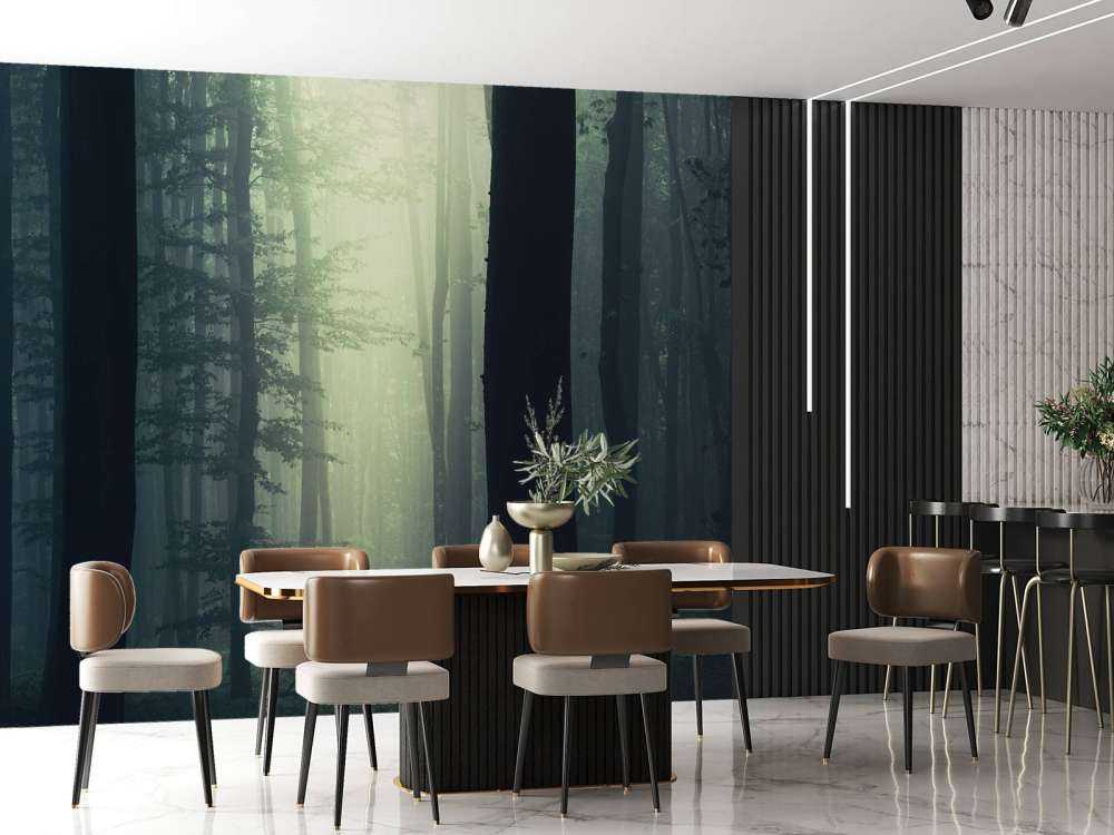 Rayon de soleil dans la forêt