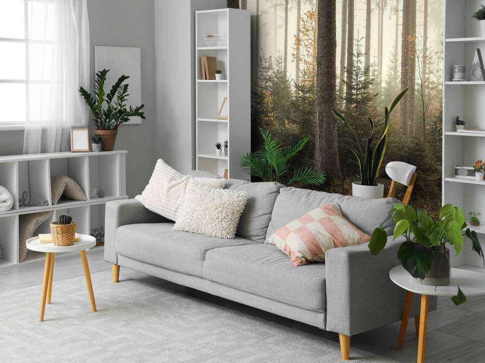 La forêt de Kaufunger