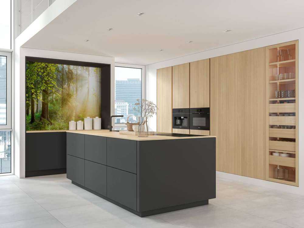 Paysage forestier au lever du soleil