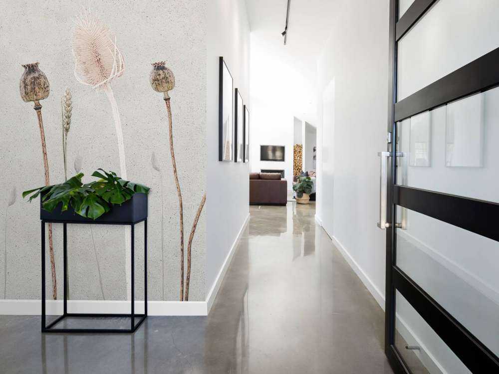 Paix des champs Texture