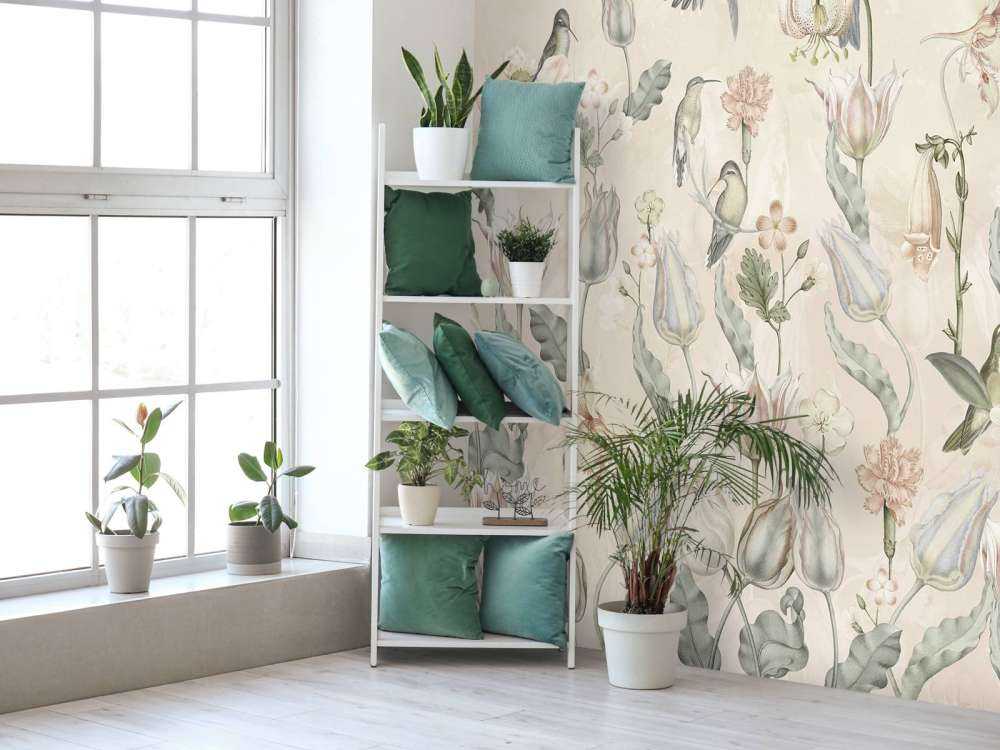 Symphonie du Colibri de Printemps - Murmure du Désert