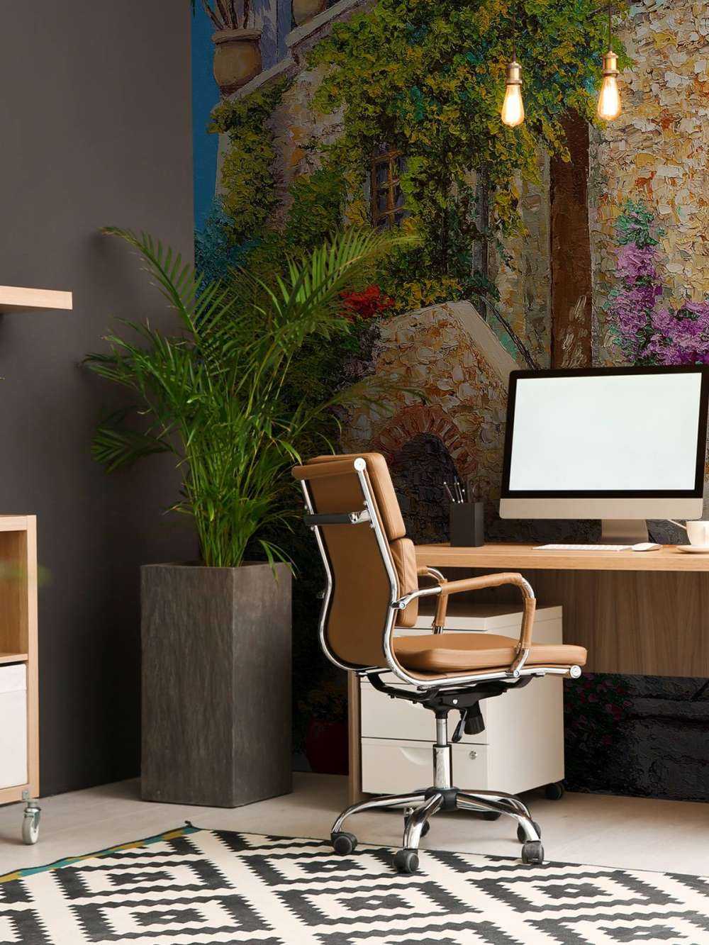 Bougainvillea in Saint Paul de Vence