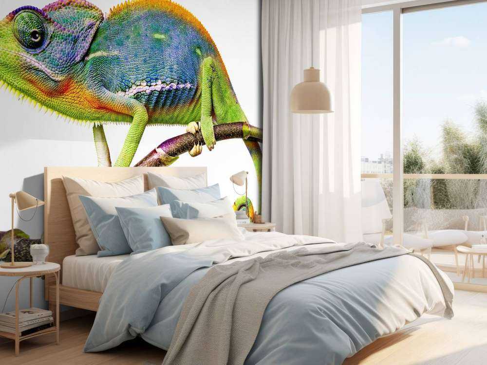 Caméléon