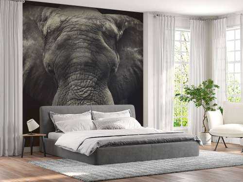 Gros plan sur un éléphant