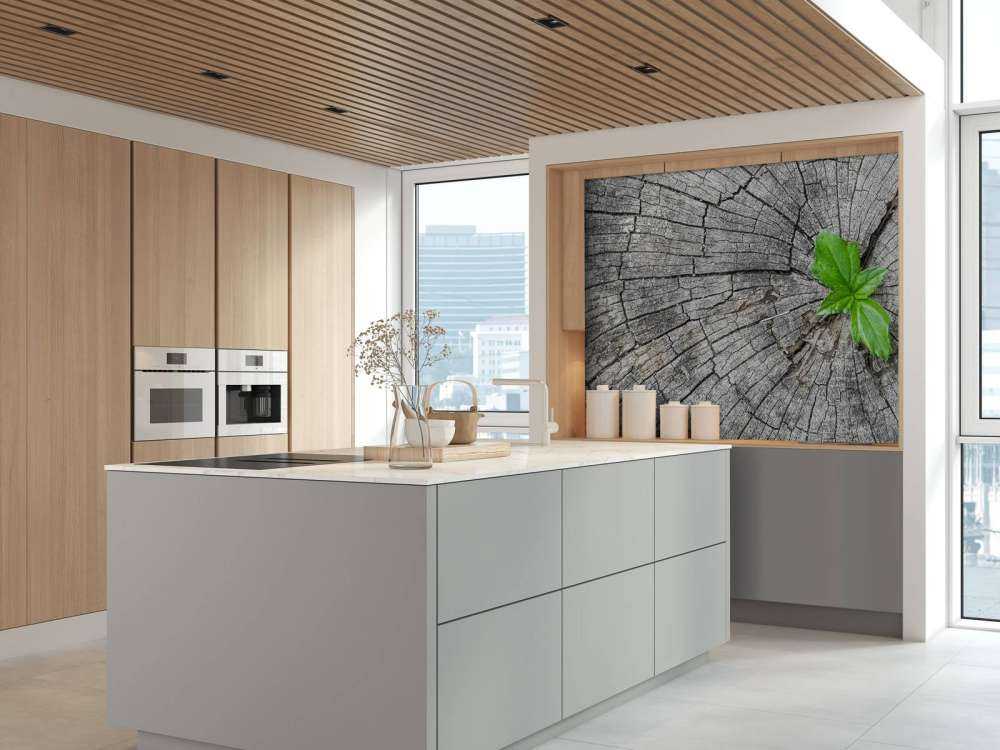 Diamètre d'un tronc d'arbre