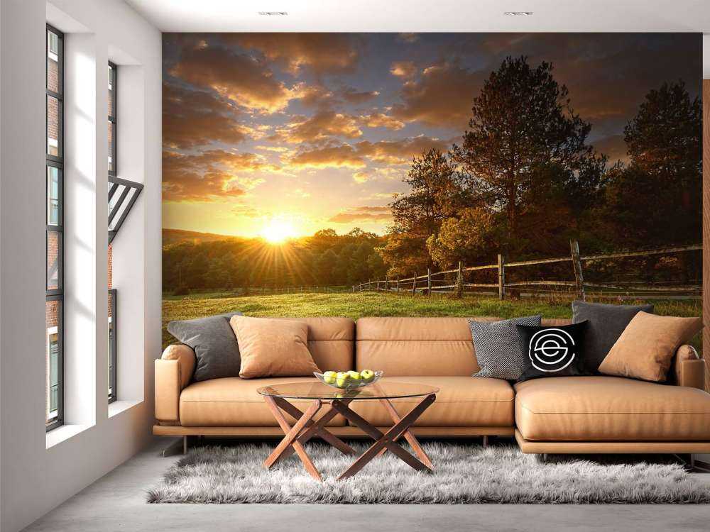 Pâturage au coucher du soleil