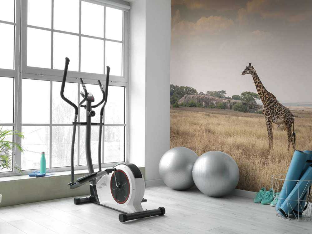 Girafe dans la savane