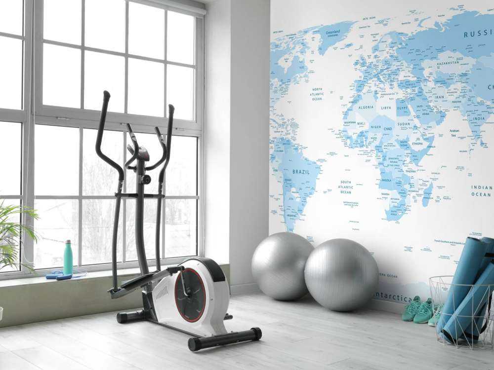 Carte du monde réaliste