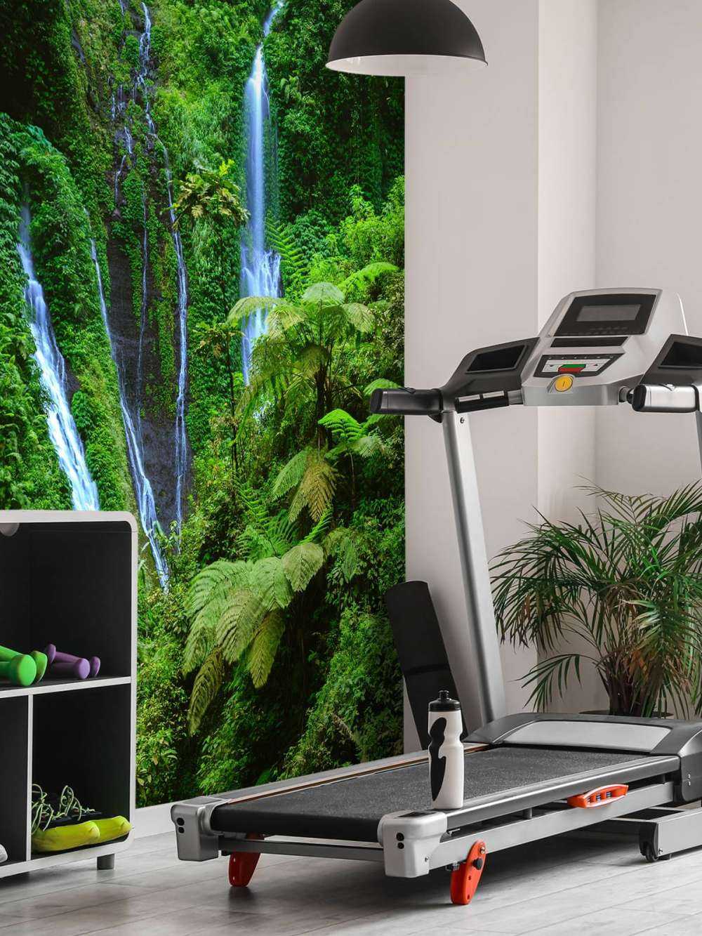 Jungle verte et chutes d'eau