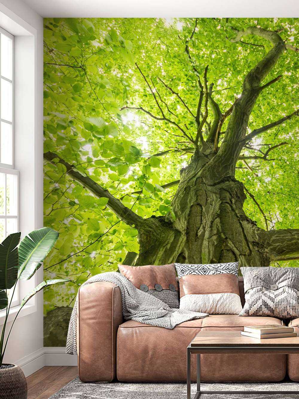 Grand arbre dans la forêt