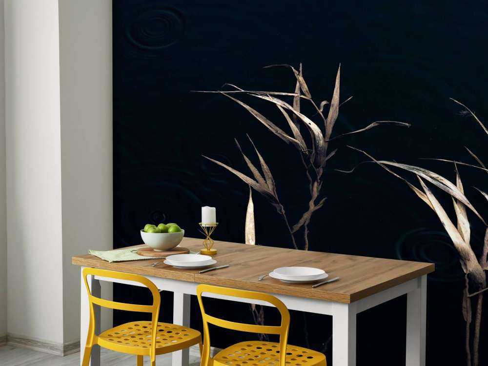 Riet dans l'eau calme