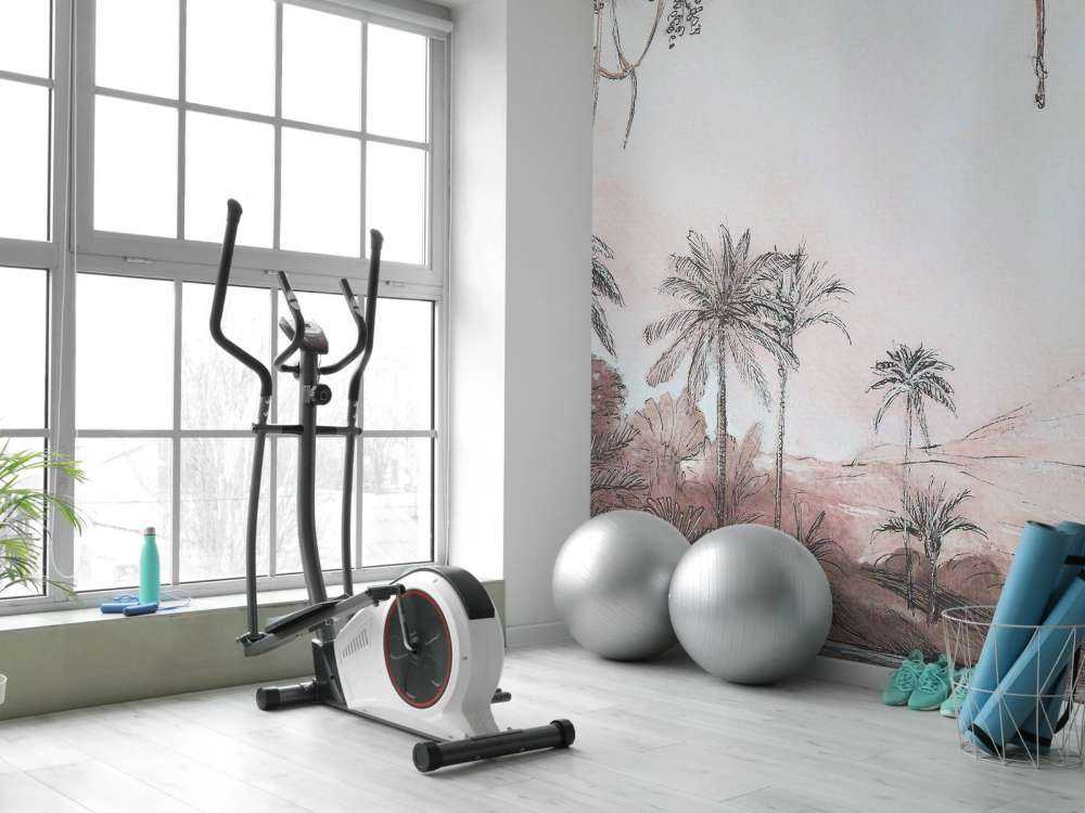 Vallée des palmiers dans la lumière rose