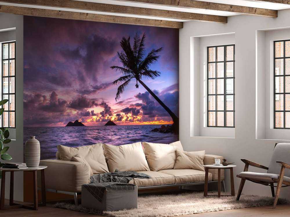 Côte tropicale au coucher du soleil violet
