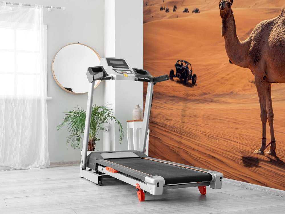 Aventure tout-terrain dans le désert